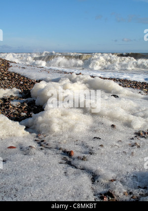 In arrivo bianco di marea schiumosa, onde schiumose lasciando la spiaggia coperta in schiuma di mare. Foto Stock