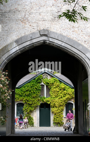 Farmleigh house arch archway phoenix park Dublino Irlanda Foto Stock