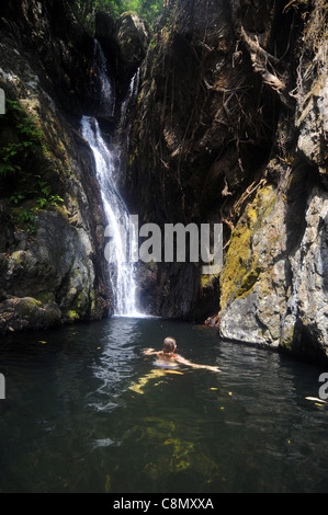 Nuotatore alla Fairy Falls, nella foresta pluviale vicino a Crystal Cascades, Redlynch, Cairns, Queensland, Australia. No signor Foto Stock