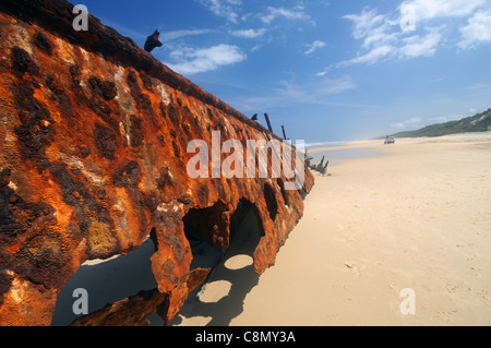 Arrugginimento relitto del Maheno sulla spiaggia a est dell'Isola di Fraser Area del Patrimonio Mondiale, Queensland, Australia Foto Stock