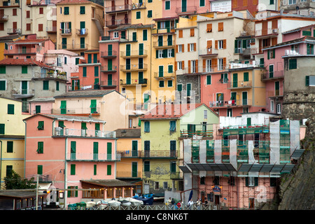 Case in Manarola sul mare Cinqueterre, Cinque Terre Liguria, Italia Foto Stock