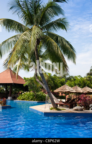 Piscina con ombrellone e sdraio nel resort tropicale Foto Stock