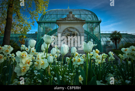 La struttura ad albero e ai suoi vicini di Jardin des Serres d'Auteuil, la grande serra di Auteuil serre giardino ,Città di Parigi Foto Stock