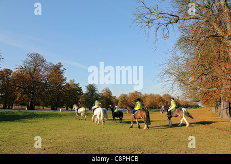 Cavalli crossing Chestnut Avenue a Bushy Park, uno dei Royal Parks di Londra nei pressi di Hampton Court a sud ovest di Londra Inghilterra REGNO UNITO Foto Stock