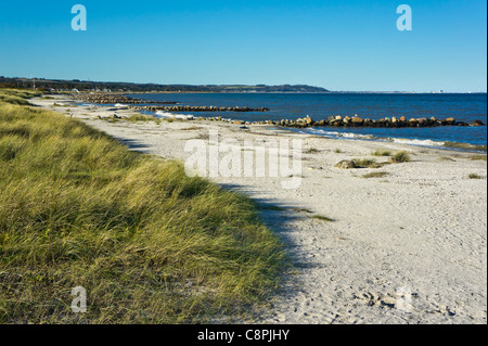 La spiaggia appena a nord di Saeby porto di Saeby dello Jutland in Danimarca con pietre poste come moli o murate per evitare ulteriore erosione. Foto Stock