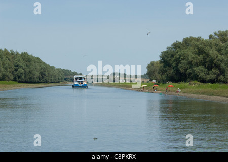 La Romania, regione dobrudgea, Tulcea, il delta del Danubio. Sfantu Gheorghe canale rivestiti con argento willow (aka wild Willow) alberi. Foto Stock