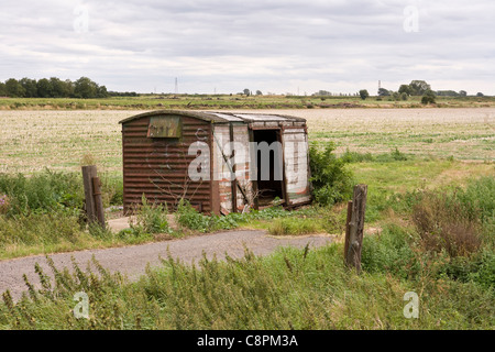 Una vecchia ferrovia carro merci meno ruote aventi stato utilizzato come un negozio sparso su una fattoria nel Lincolnshire Fens. Foto Stock