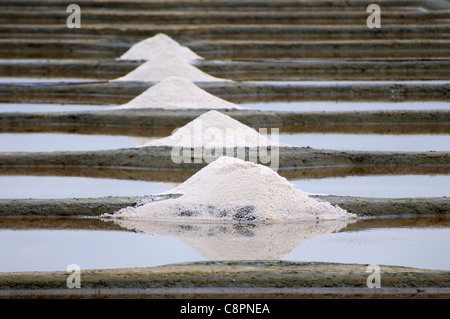 Fleur de sel (raccolta a mano il sale di mare) Latte scremato del sale letti vicino al Pont d'Armes nel dipartimento Loire-Atlantique. Foto Stock