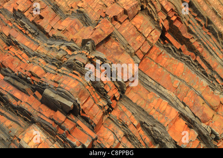 Strati di roccia in scogliere a Sandymouth Bay, North Cornwall, England, Regno Unito Foto Stock