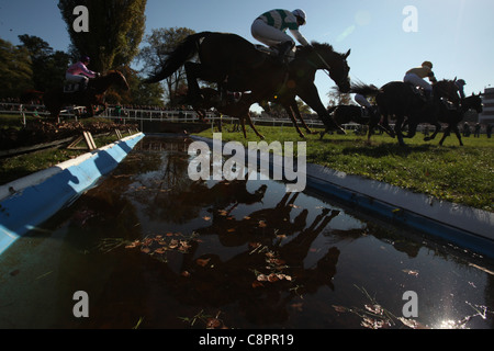 Famoso annuale di siepi di cross-country eseguire Velka Pardubicka in Pardubice, Repubblica Ceca il 10 ottobre 2010. Foto Stock