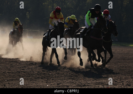 Famoso annuale di siepi di cross-country eseguire Velka Pardubicka in Pardubice, Repubblica Ceca il 10 ottobre 2010. Foto Stock