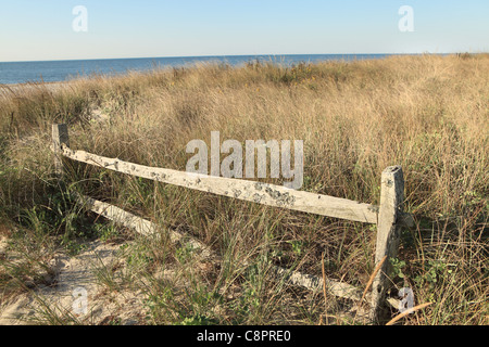 Tranquillo Cape Cod, nei pressi di Boston, Massachusetts, USA Foto Stock