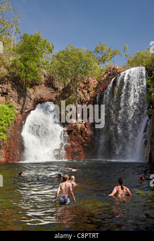 Nuotatori a Firenze cade, il Parco Nazionale di Litchfield, Territorio del Nord, l'Australia Foto Stock