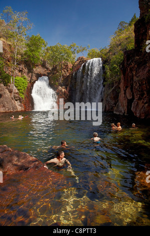 Nuotatori a Firenze cade, il Parco Nazionale di Litchfield, Territorio del Nord, l'Australia Foto Stock