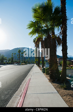 Una strada di città in Palm Desert in California con palme una montagna in background Foto Stock