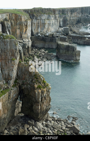 La Gran Bretagna, il Galles, Pembrokeshire, St Govan testa del litorale Foto Stock