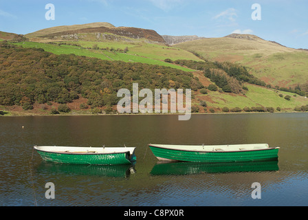 La Gran Bretagna, il Galles, Tal-y-Llyn, due piccole barche verde sul lago, Snowdonia Foto Stock