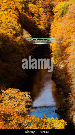 Fiume Garry e ponte verde circondato da colore di autunno di decidious e da alberi di pino, passaggio di Killiecrankie, Perthshire Scozia Scotland Foto Stock