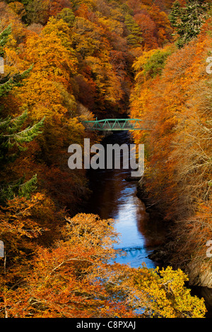 Fiume Garry e ponte verde circondato da colore di autunno di decidious e da alberi di pino, passaggio di Killiecrankie, Perthshire Scozia Scotland Foto Stock