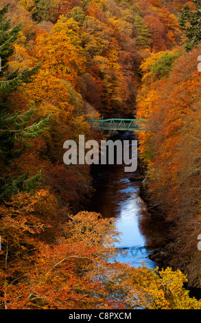 Fiume Garry e ponte verde circondato da colore di autunno di decidious e da alberi di pino, passaggio di Killiecrankie, Perthshire Scozia Scotland Foto Stock