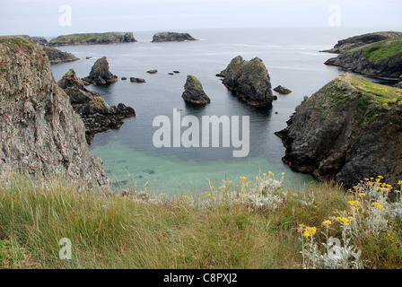 Francia, Bretagna, Belle-Ile, Port Coton, "aghi" formazioni rocciose Foto Stock