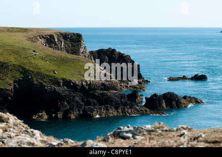 La costa vicino a Martin's Haven, South Pembrokeshire, Wales, Regno Unito Foto Stock