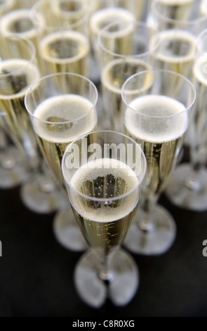 Champagne in bicchieri disposti su una tavola al gusto di Edinburgh Food Festival. Foto Stock