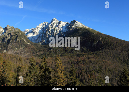 Vista di Lomnicky stit, seconda vetta in Alti Tatra, da Hrebienok, Slovacchia. Foto Stock