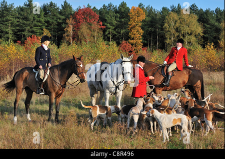 Cacciatori indossando cappotti rossi a cavallo con il pack di hounds nel corso di trascinare la caccia in autunno, Europa Foto Stock