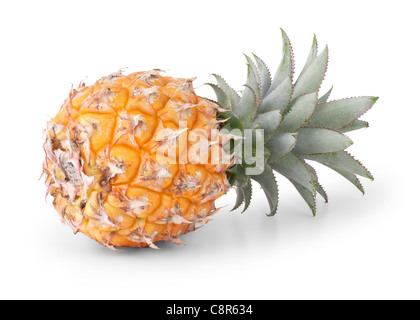 Baby ananas isolati su sfondo bianco Foto Stock