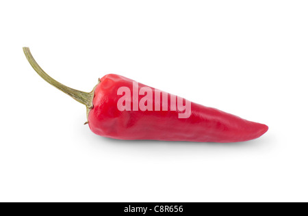 Peperoncino rosso isolato su sfondo bianco Foto Stock