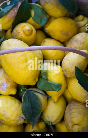 Un cesto di limoni Foto Stock