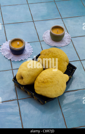 Limoni Positano " Costiera Amalfitana " Amalfi Italia Foto Stock