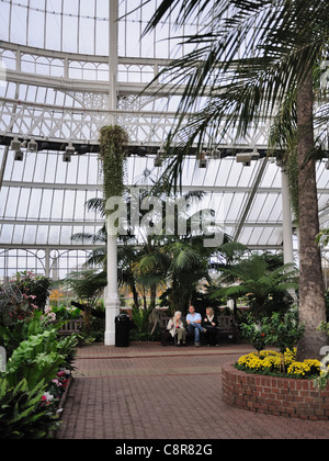 All'interno dei giardini invernali presso i popoli Palace a Glasgow, Scotland, Regno Unito, Europa. Foto Stock