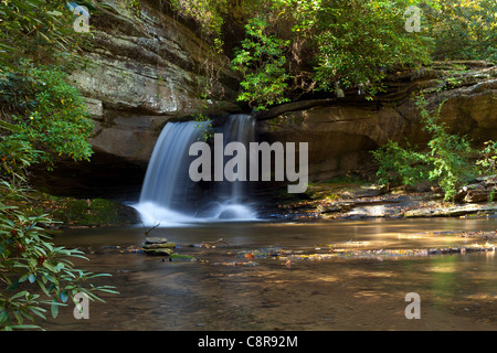 Raper Creek Falls si trova a nord della Georgia nella contea di Habersham. Le cascate di per sé sono circa 15 ft. alta e unico in l'aspetto che lo streaming è in esecuzione diagonale attraverso un ripiano di roccia prima di cadere nella piscina a tuffo di seguito. Foto Stock