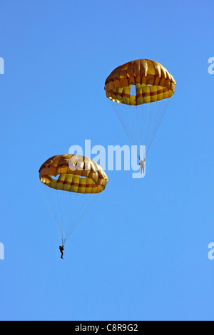 Paracadutisti del Giappone terra Self Defence Force Foto Stock