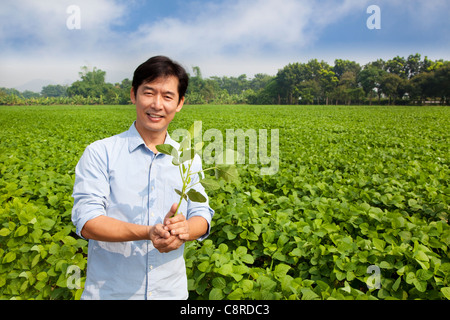 L'agricoltore cinese azienda alberello e permanente sulla sua azienda Foto Stock