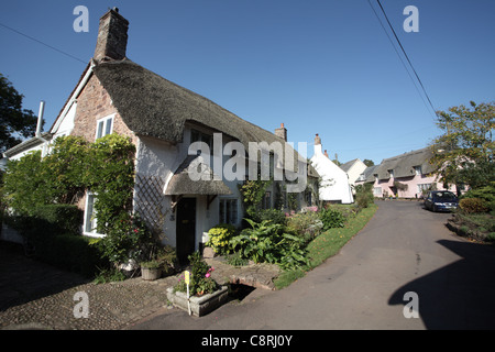 Graziosi cottage con il tetto di paglia, Dunster, Somerset Foto Stock
