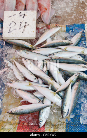 Pesce e frutti di mare freschi market store tra i vicoli del centro, isola di Hong Kong, Hong Kong Foto Stock