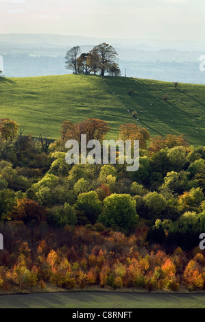 Vista dalla Coombe Hill verso Beacon Hill Bucks. Foto Stock