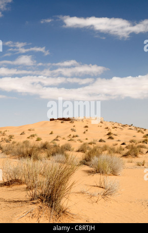 Africa, Tunisia, Ksar Rhilane. Resti della vecchia storica fortezza romana (Ksar Ghilane) tre chilometri a nord-est ... Foto Stock