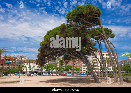 La Pineda. Costa Dorada, Catalogna, Spagna. Foto Stock