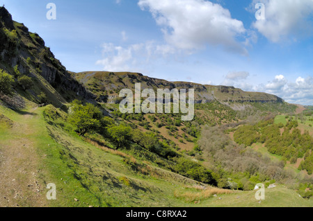 Craig y Cilau riserva naturale, vista nella riserva di entrata lungo la vecchia via del tram. Foto Stock