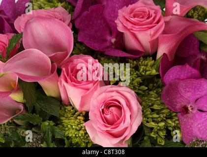 Un close-up di un colorato bouquet di fiori. Le rose rosa, rosso callas [Zantedeschia var], Viola vanda orchidee Foto Stock