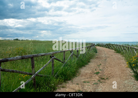 Strada di campagna con la recinzione di legno Foto Stock