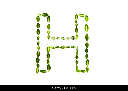 Alfabeto H disegnata con foglie Foto Stock