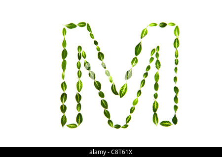 Alfabeto M tracciata con foglie Foto Stock