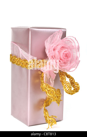 Bella rosa di natale confezione regalo, isolato su bianco Foto Stock