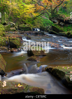 West Beck, vicino Mallyan Spout, in autunno. Foto Stock