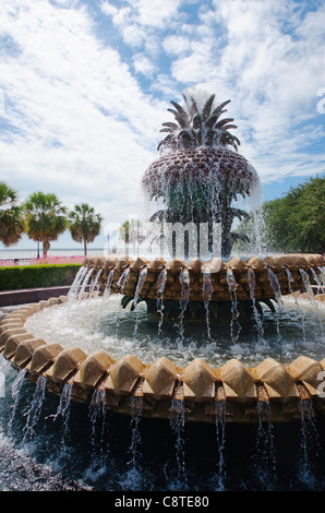 Stati Uniti d'America, Sud Carolina, Charleston, Waterfront Park, Fontana di ananas Foto Stock